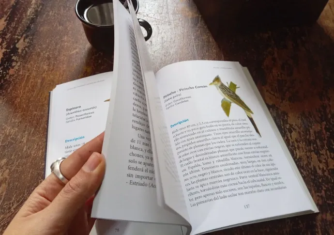 Fichas de aves uruguayas y su comportamiento en el libro