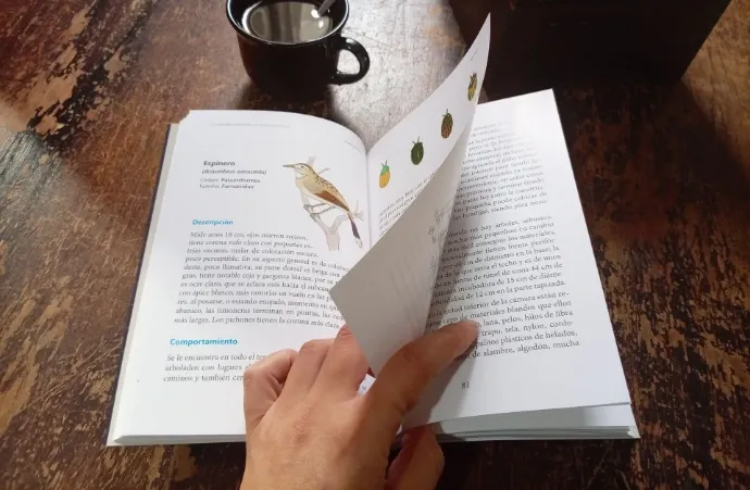 Fichas de pájaros uruguayos y su comportamiento en el libro